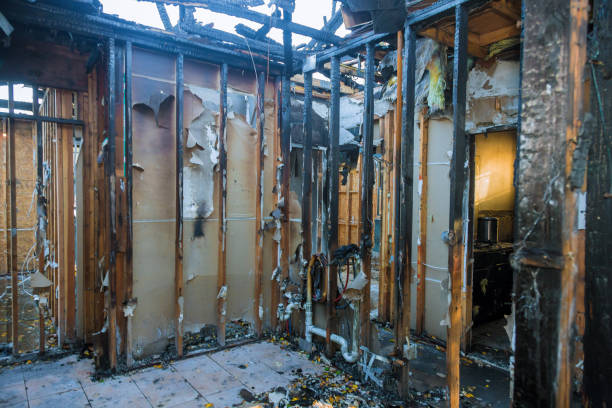 Professional Structural Rebuild technician working in Hutto, TX